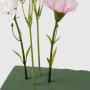 Spugna Fiorista 23x11x7 cm