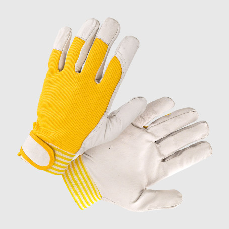 Guanti Golf - Tg. Donna
