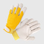 Guanti Golf - Tg. Donna
