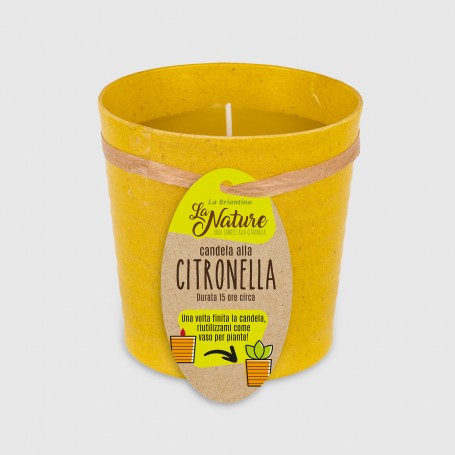 Candela alla citronella in vaso