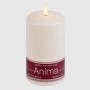 Candela Anima 15 cm