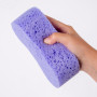 Spugna bagno Farfalla